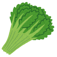 葉野菜